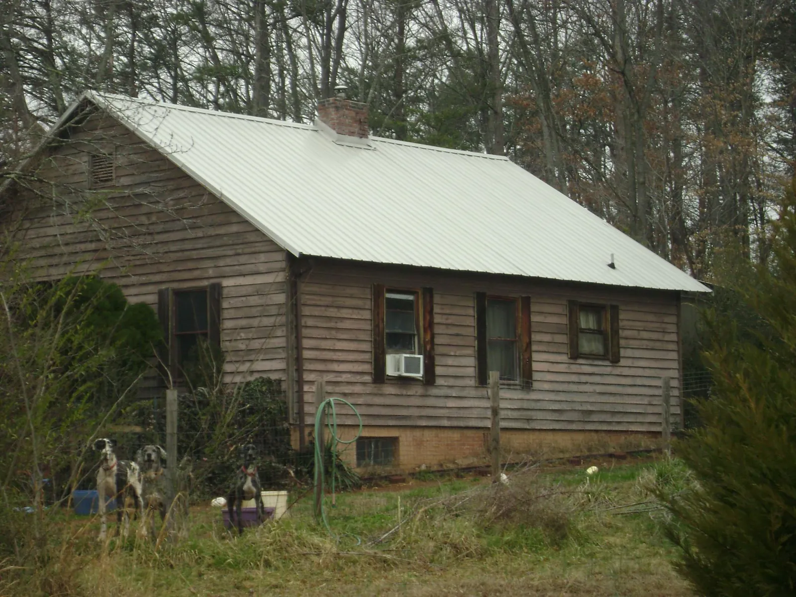 White metal roof on an old wood sided farmhouse, from a Asphalt Shingle Roof Repair job in Monitor